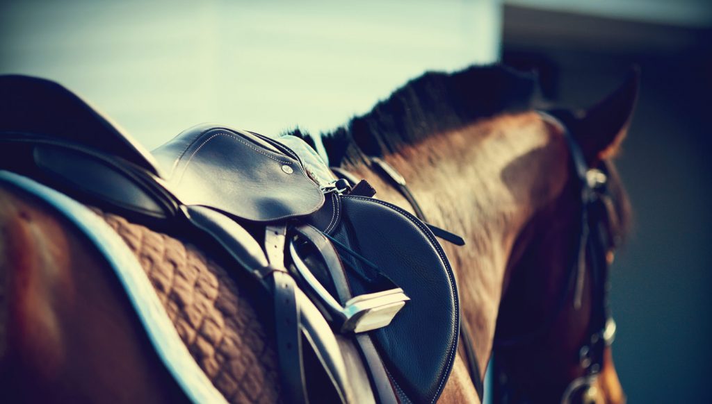 paardenbakverlichting