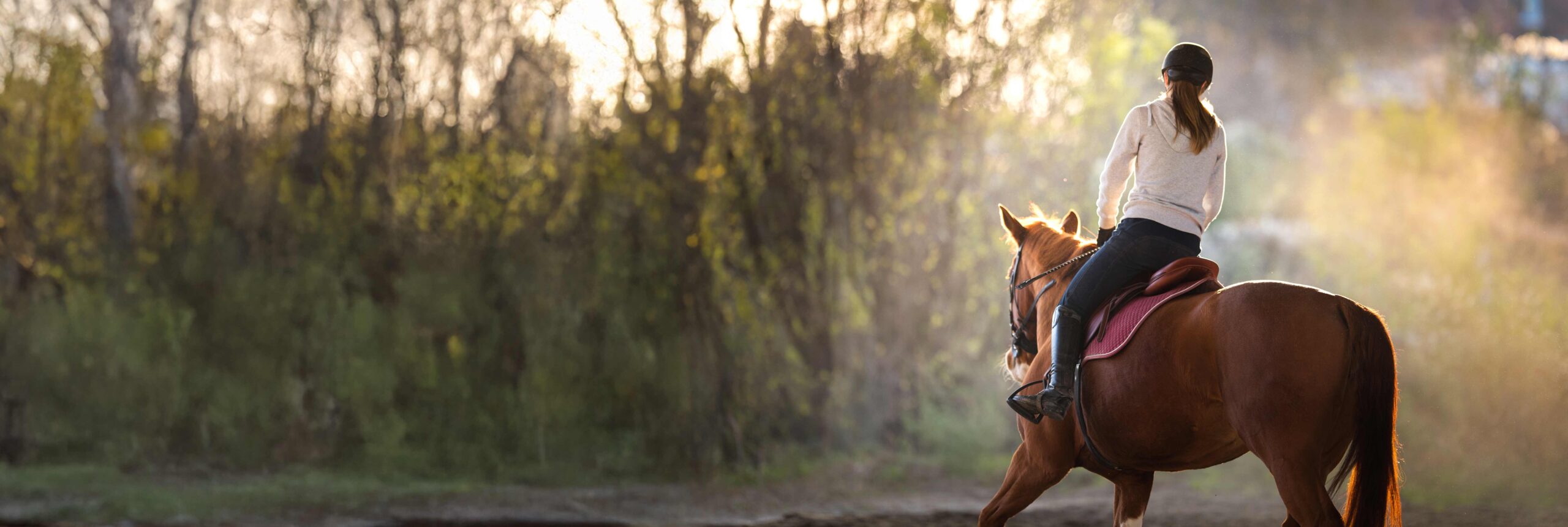 Paardenbakverlichting