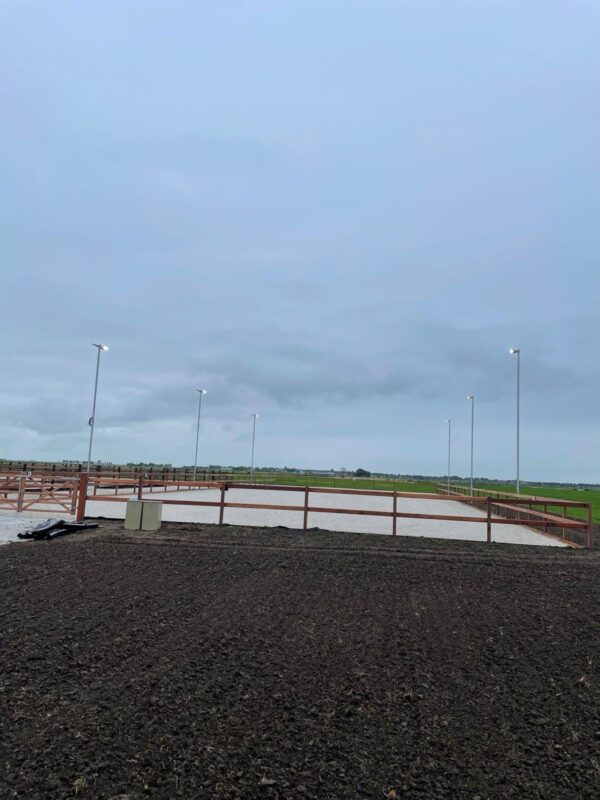 Paardenbakverlichting.nl