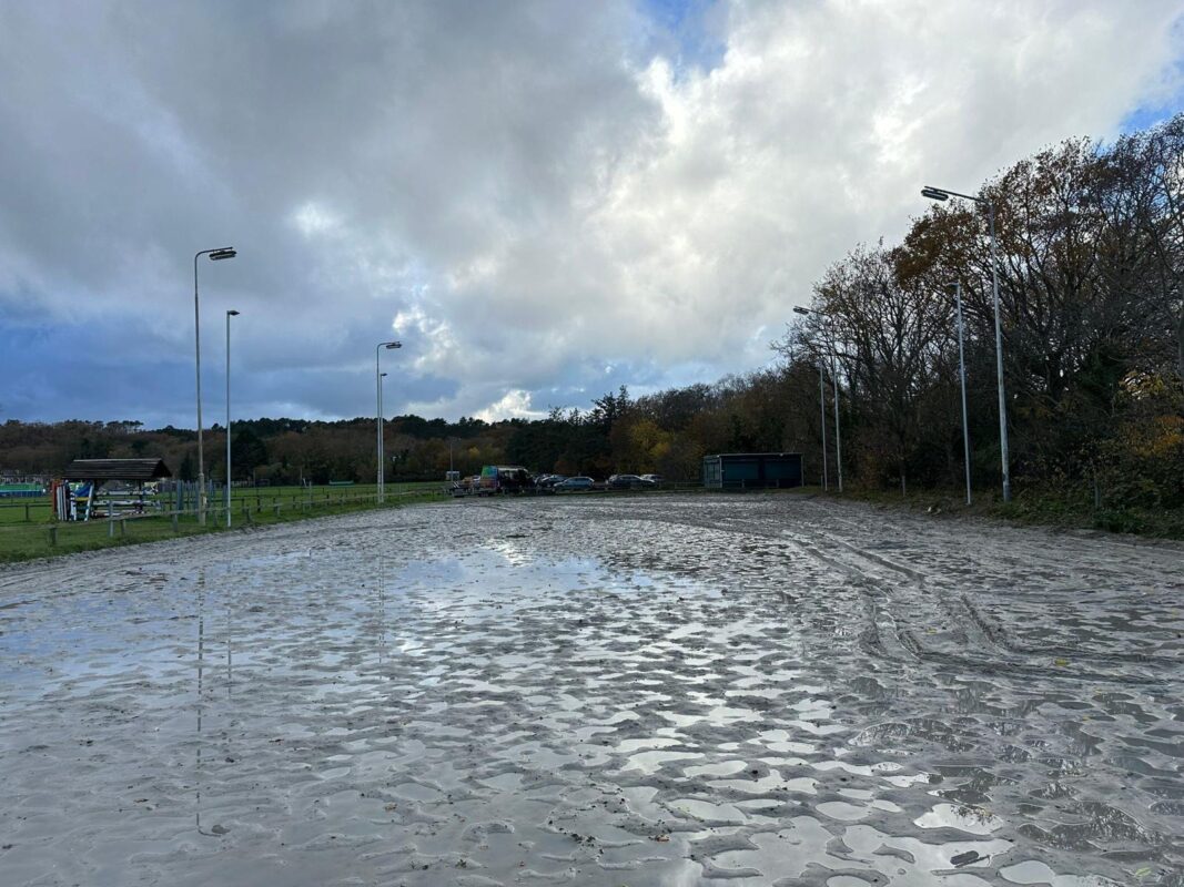 Paardenbakverlichting.nl