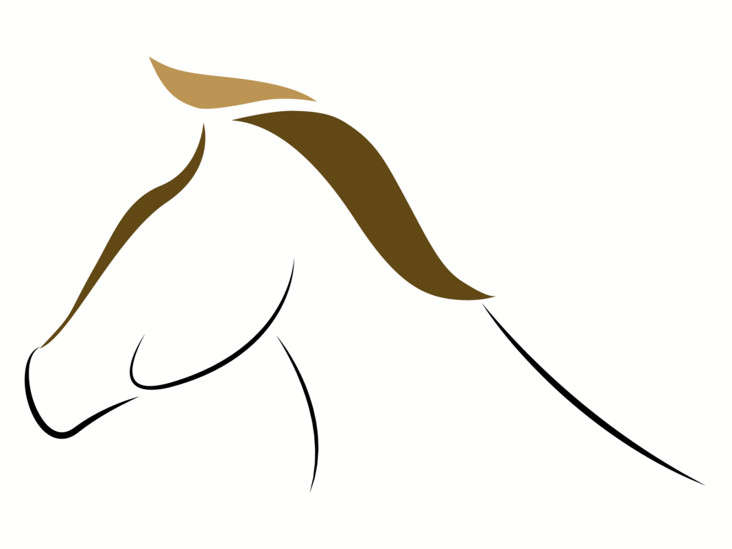 Paardenbakverlichting.nl