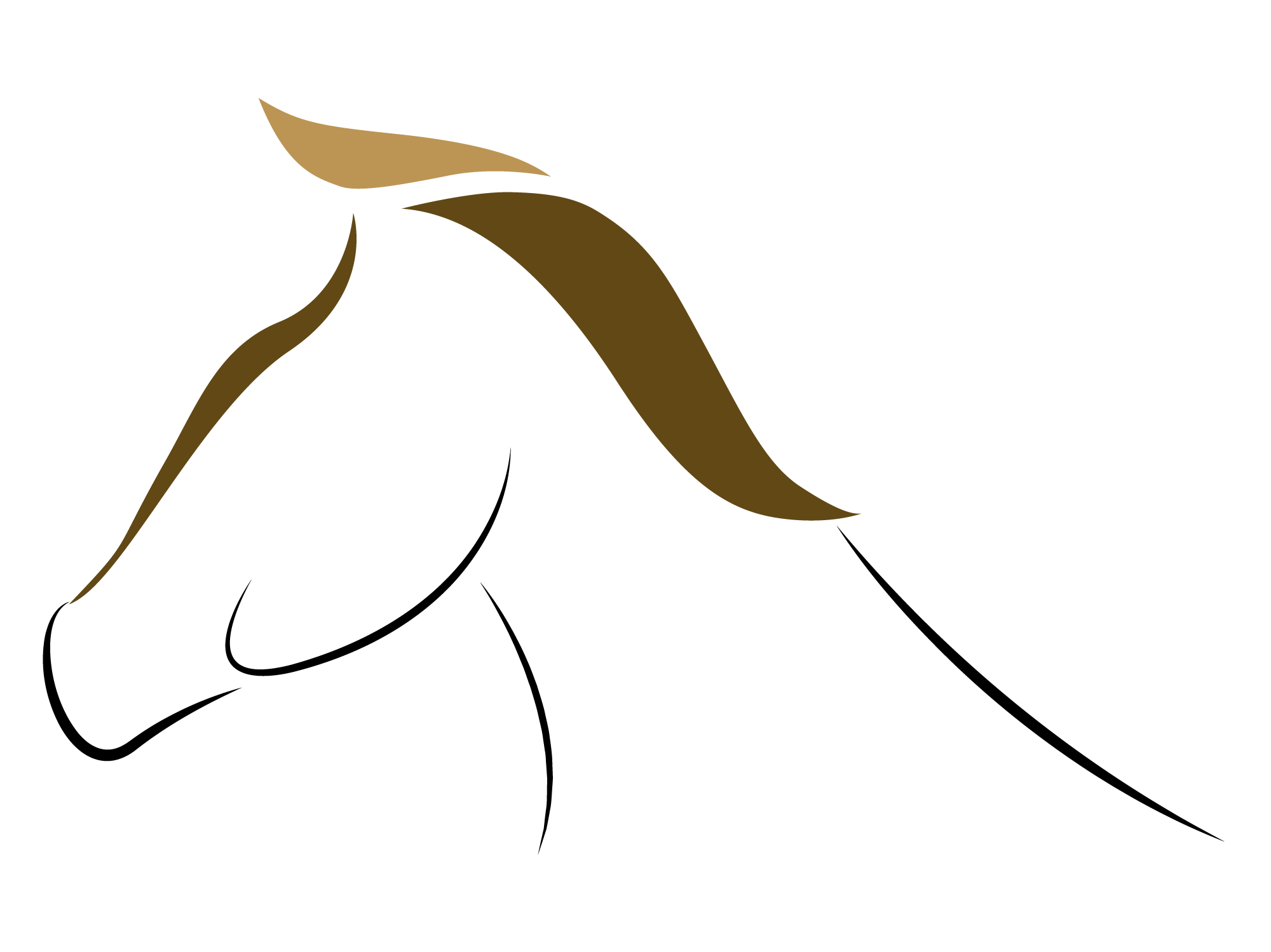 paardenbakverlichting